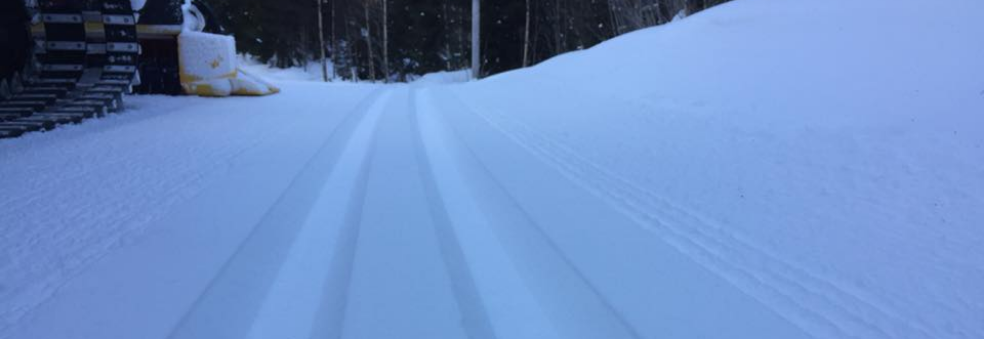 Nordfylkesamling på botnestua